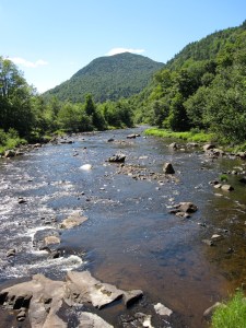 A mountain stream in the Adirondacks